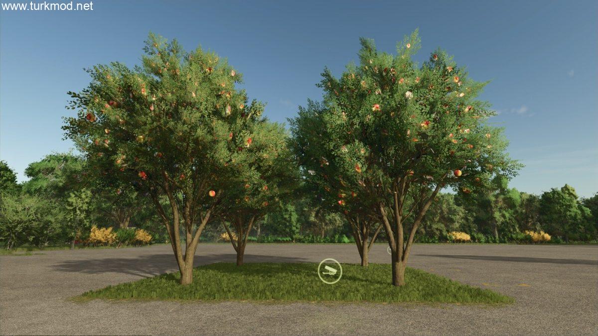 FS 25 - Elma Ağacı Modu