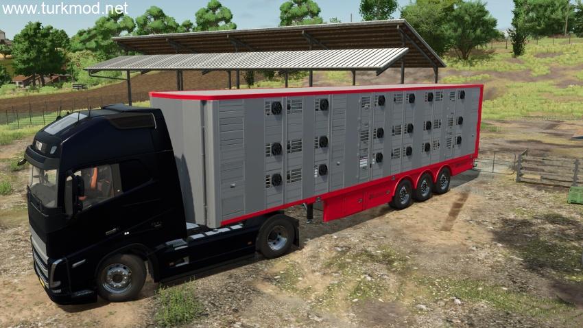 FS25 - Michieletto AM19 Hayvan Dorsesi Modu