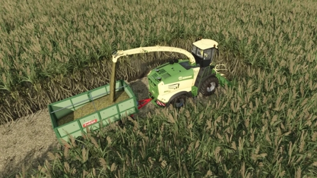 FS25 - Şeker kamışı ve kavak için 900 puan topla - modu