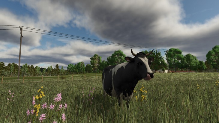 FS25 - Rhön Platosu Haritası - modu