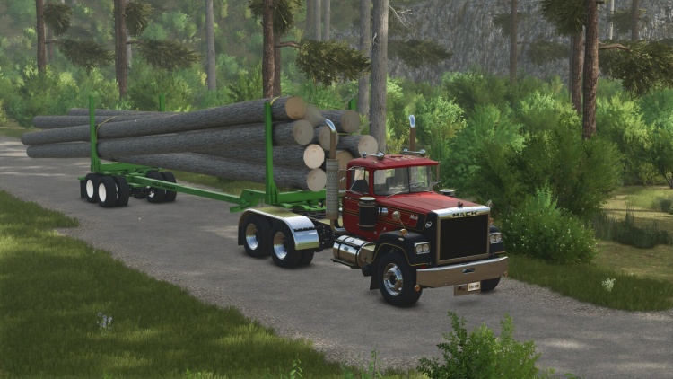 FS25 - Pole Dorse - modu