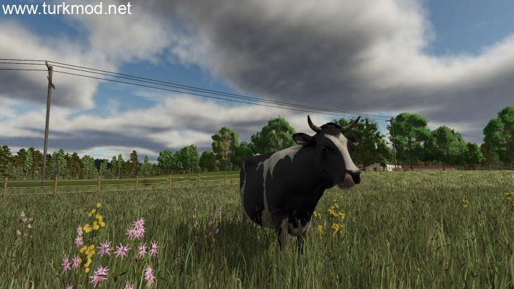 FS25 - Rhönplateu Map V1.2