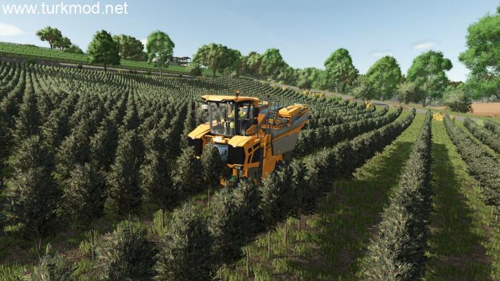 FS25 - StarValley Map V1.0.1