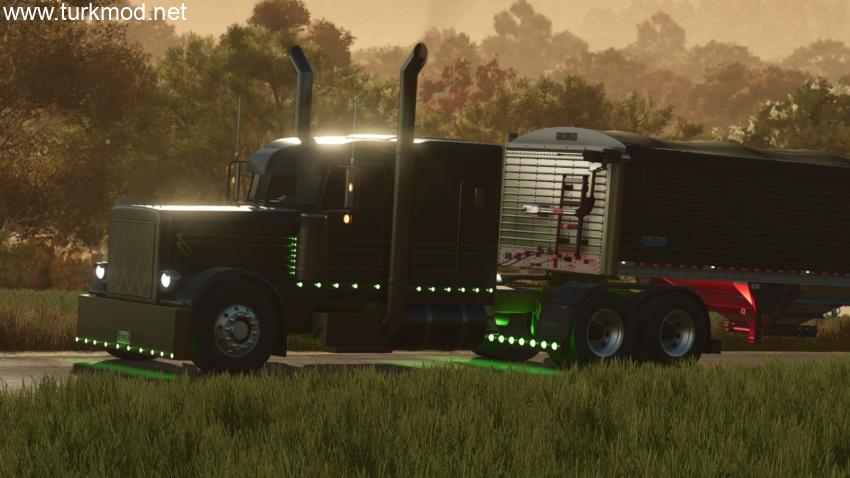 FS25 - Lizard 379 V1.2