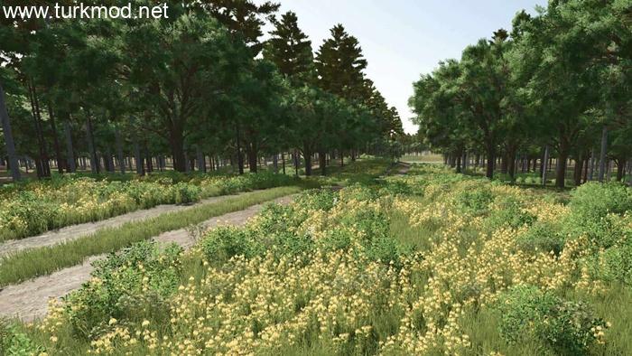 FS25 - Starbuck, MN Map V1.1.0.2 FS25 - Starbuck, MN Map V1.1.0.2