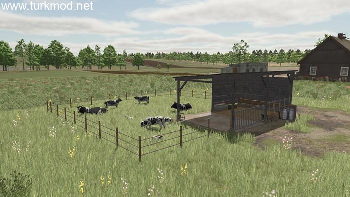 FS25 - Polish Pasture for Cows V1.0 FS25 - Polish Pasture for Cows V1.0