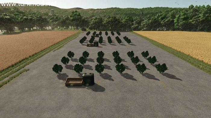 FS25 - Berry Plantation V1.0 FS25 - Berry Plantation V1.0