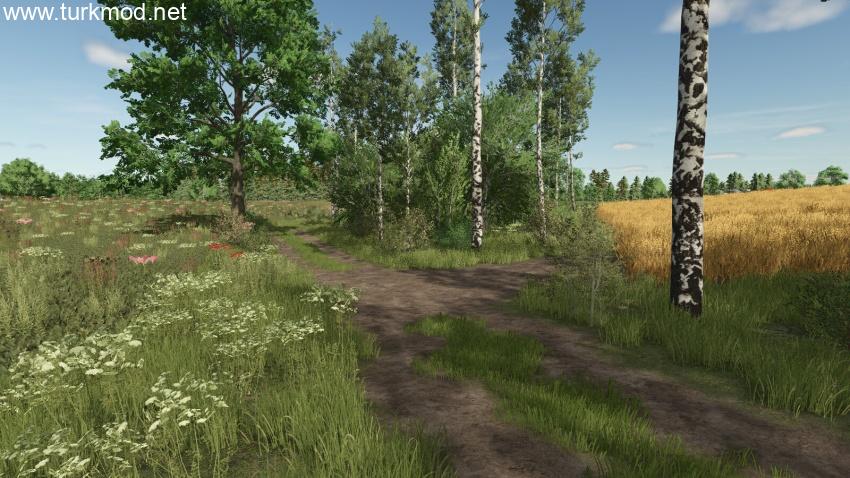FS25 - Lipinki Map V1.5.1