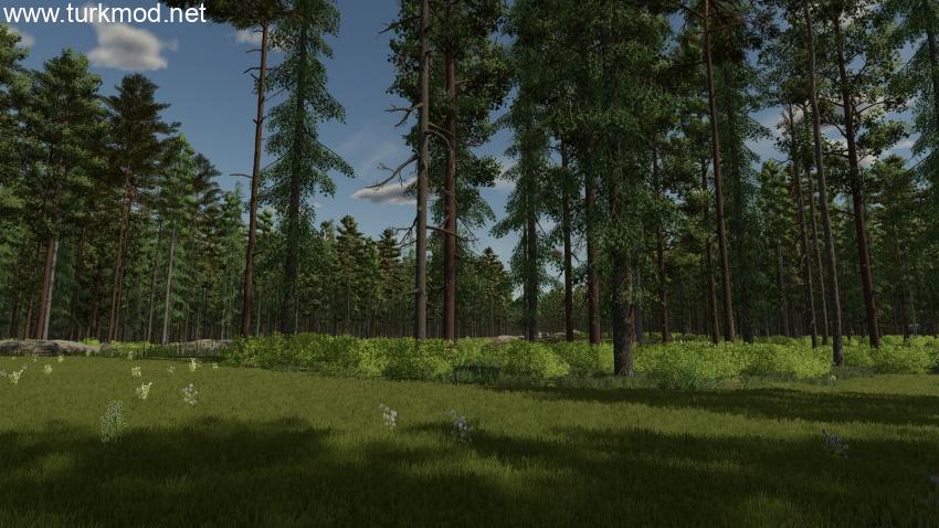 FS25 - InTo The Woods Map V1.0