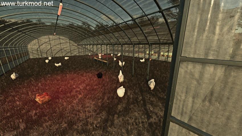 FS25 - Old Greenhouse Chicken Coop V1.0