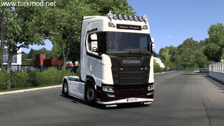Scania S Hacguin Skin V1.0