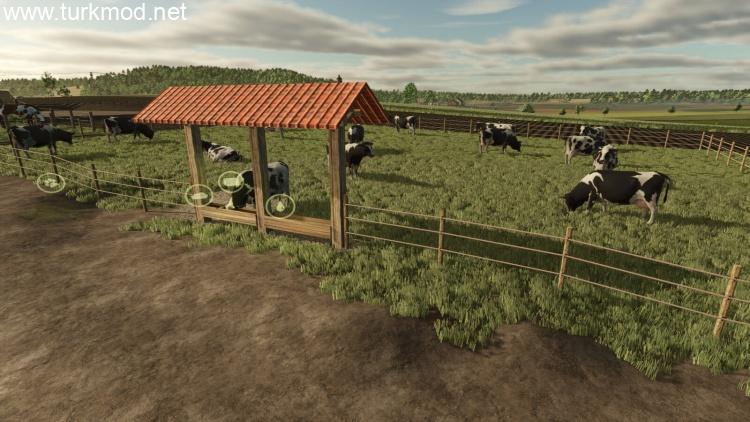Placeable Small Pasture For Cows And Horses V1.0