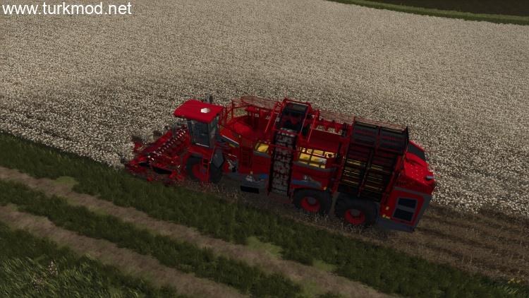 Ropa Tiger6S Cotton Edition V1.0